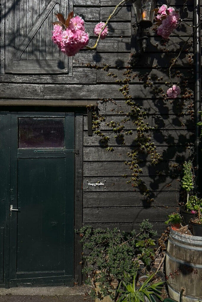 shootlocatie zaanstad